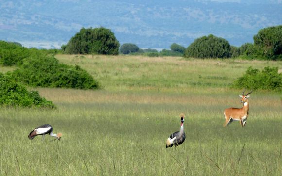 Your itinerary in detail