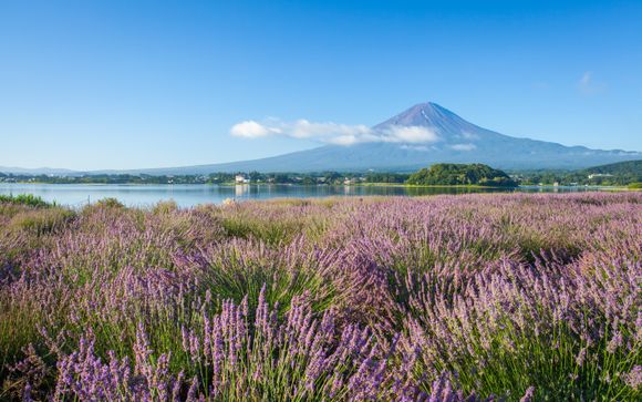 Your itinerary in detail