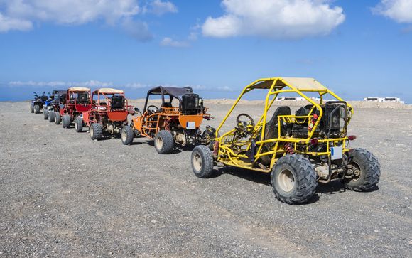 Your optional excursions and extras