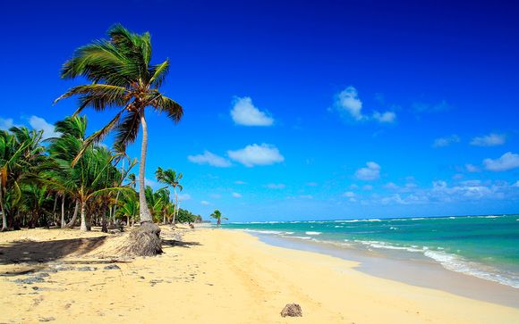 Reviews Excellence El Carmen 5 Punta Cana Voyage Prive