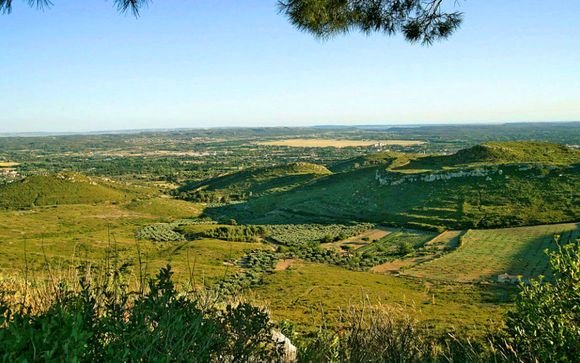 Destination...Provence