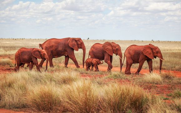 Your Safari Itineraries