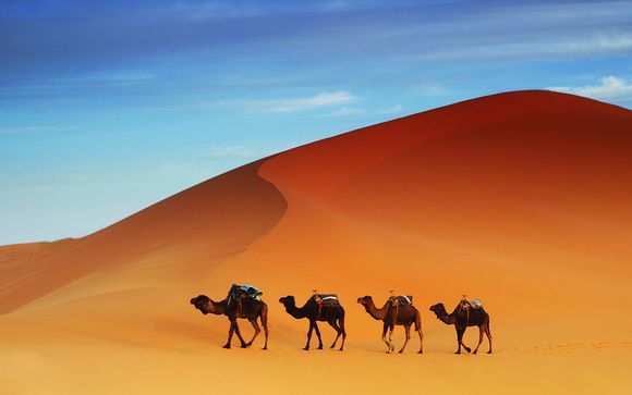 Atlas Mountains, Canyons and Sahara Tour with Optional Marrakech Stay