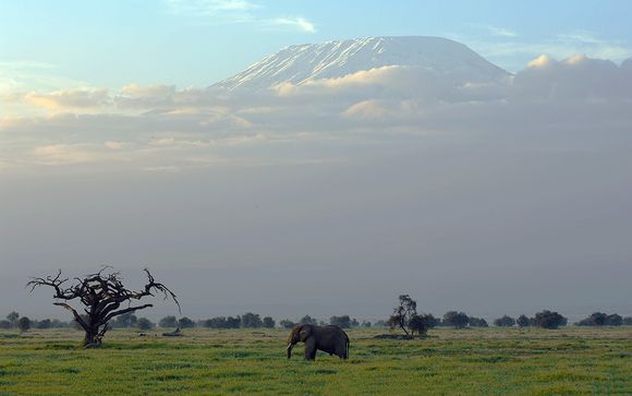Your Safari Itinerary
