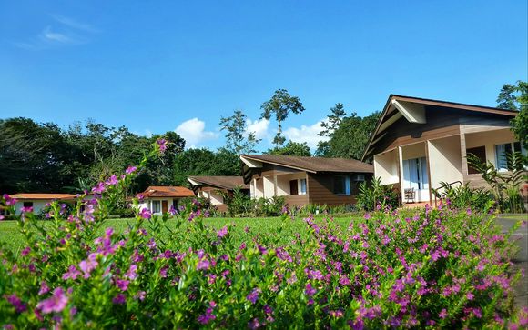 Your Hotels