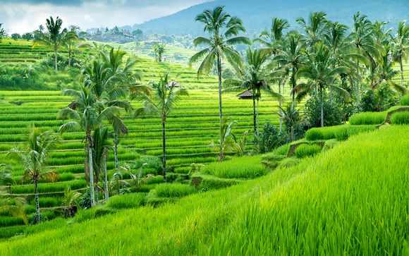 Offer 1: Simply Bali Itinerary