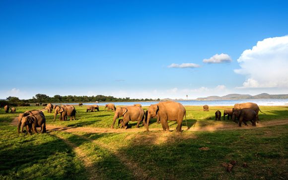 Private Tour of Sri Lanka & Beach Stay at Turyaa Kalutara 4*