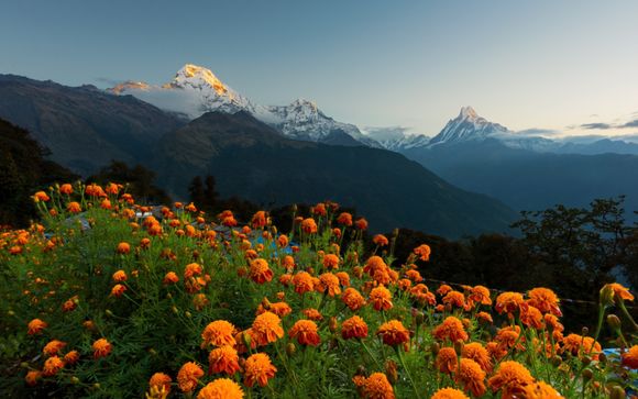 Classic Nepal Tour 3*/4*