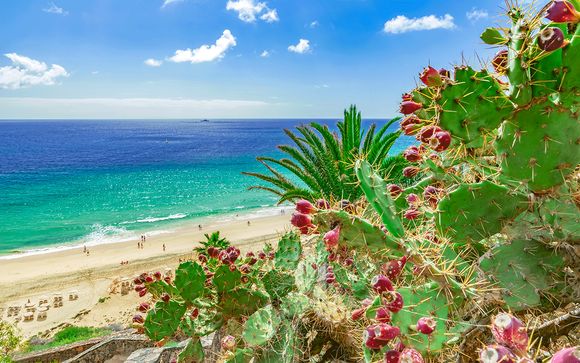 The Corralejo Beach Hotel