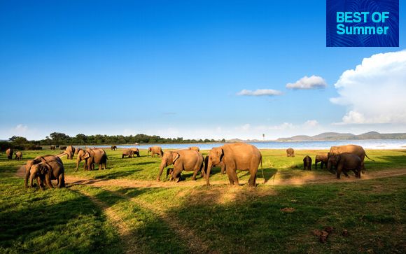 Culture and Nature with Island Beach Stay