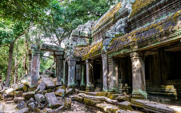 Your Optional Excursions