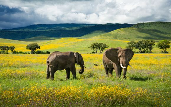 Your 5-Night All of Tanzania Safari Itinerary