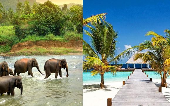 Discover Sri Lanka Tour & Maldives Stay