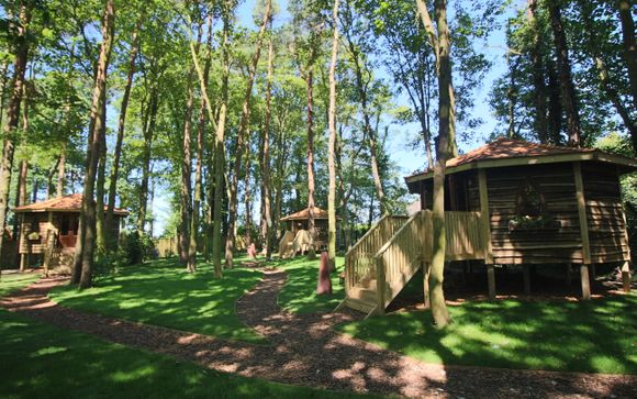 Forest Hideaway at Port Lympne 4*
