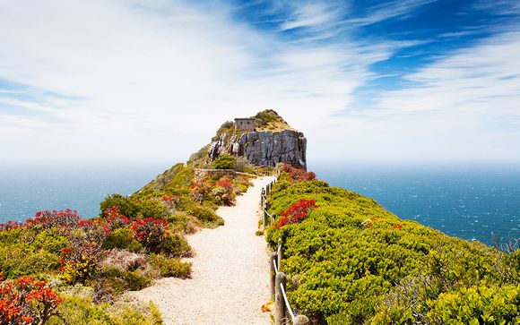 Cape Town Highlights Tour
