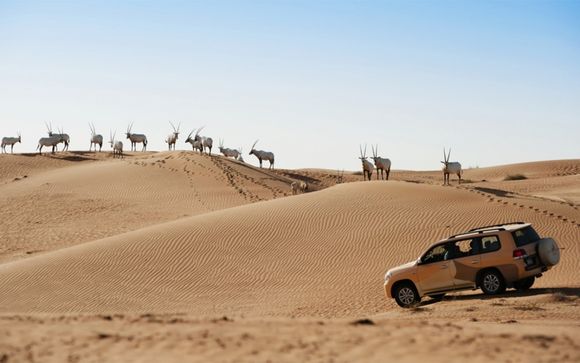 Al Maha Desert Resort Spa Armani Hotel Dubai 5 Dubai Up