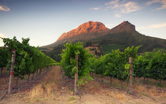 South African Capetown & Winelands Adventure