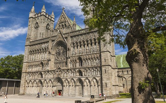 Your Optional Excursions