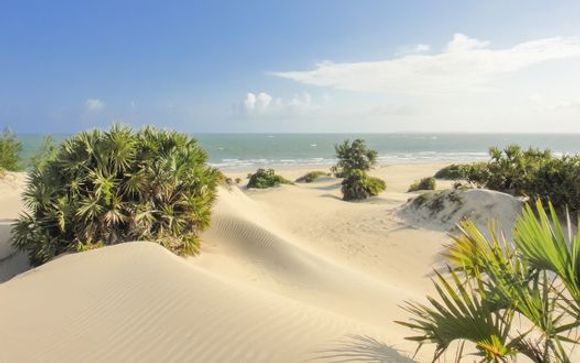 Your Optional Excursions in Lamu