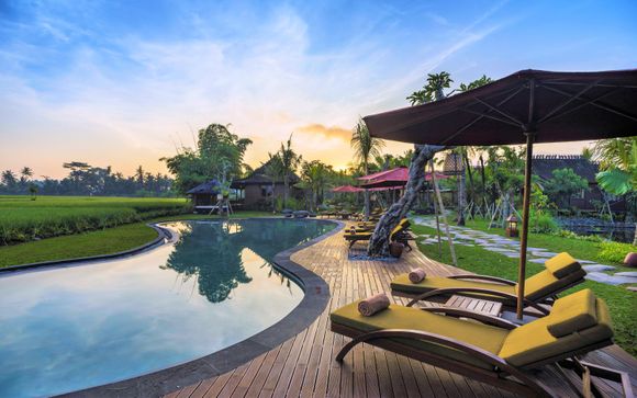 Idyllic Jungle Escape & Eco-Friendly Beach Bliss