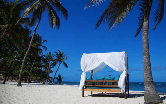 Amani Tiwi Beach Resort 4 Safari Voyage Privé Up To 70 Amani Tiwi Beach Resort 4 Safari