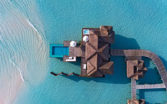 Luxurious and Spacious Private Villas