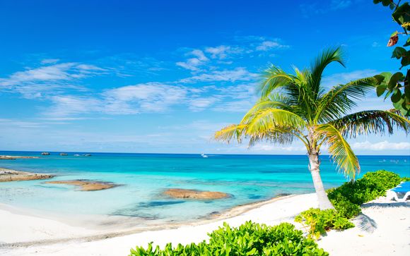 Incantevole soggiorno tra oasi tropicali nel cuore della città e paradisi terrestri