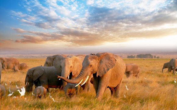 Soggiorno con safari nel parco più famoso del Sudafrica