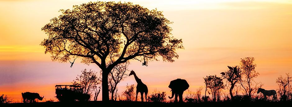 Reisen nach Südafrika