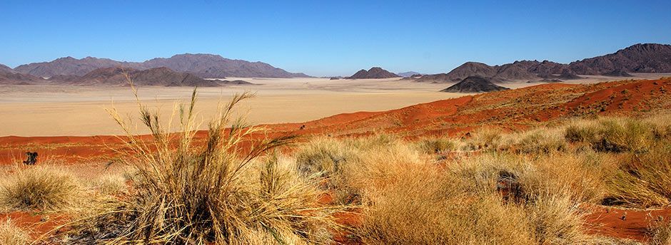Dernières minutes en Namibie