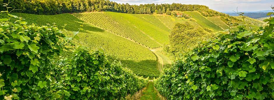 Séjours en Bourgogne