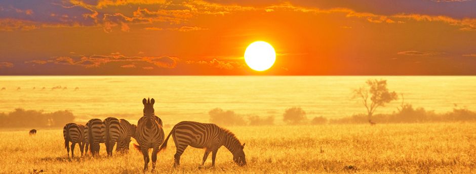 Tour in Sudafrica