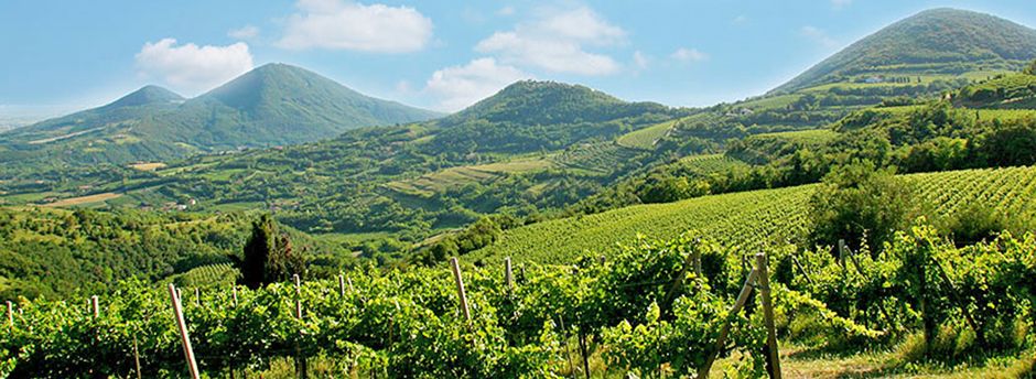 Prenota le tue vacanze in famiglia ad Abano Terme