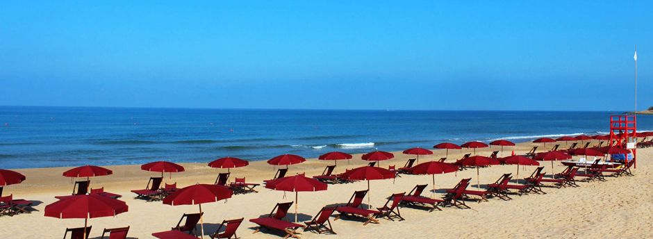 Viaggi a Donnafugata