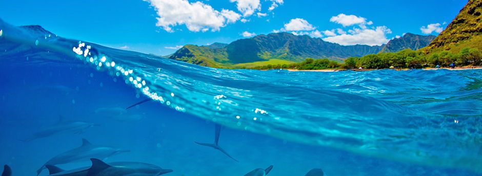 Vacanze nella Polinesia Francese