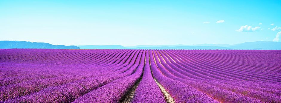 Viaggi in Francia