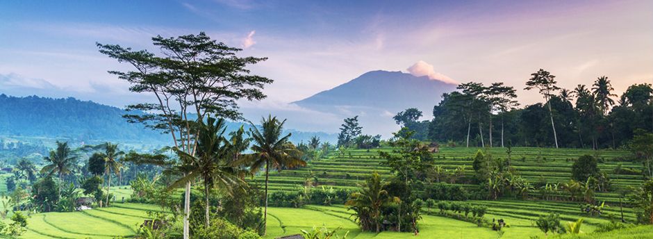 Booking to Bali